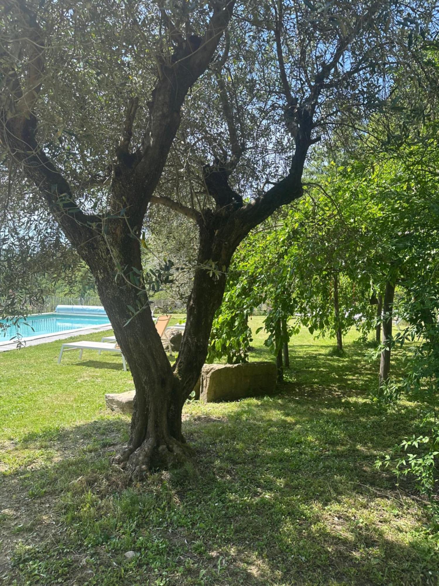 Collina Di Sopra Villa Tresana Exterior photo