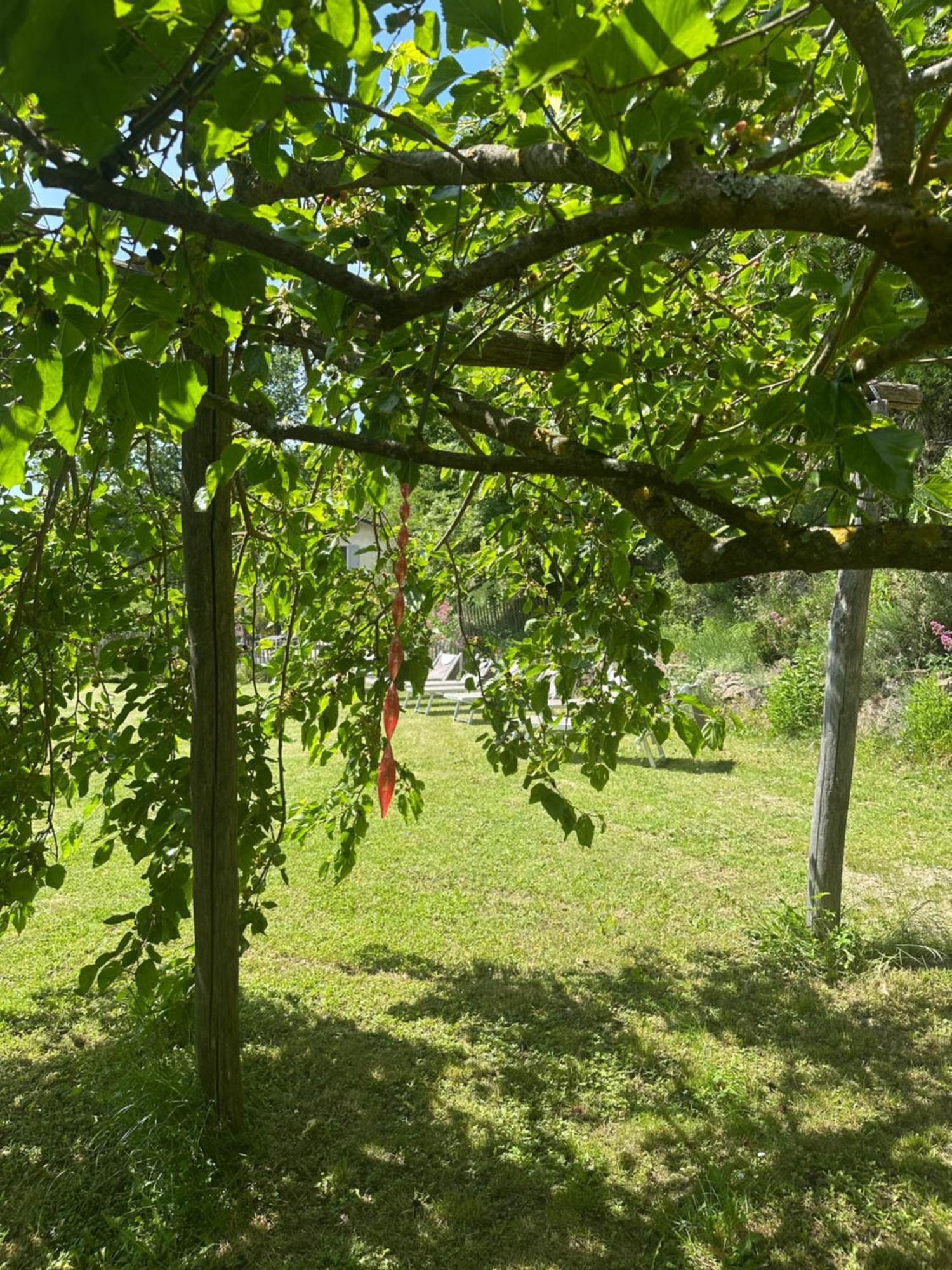 Collina Di Sopra Villa Tresana Exterior photo