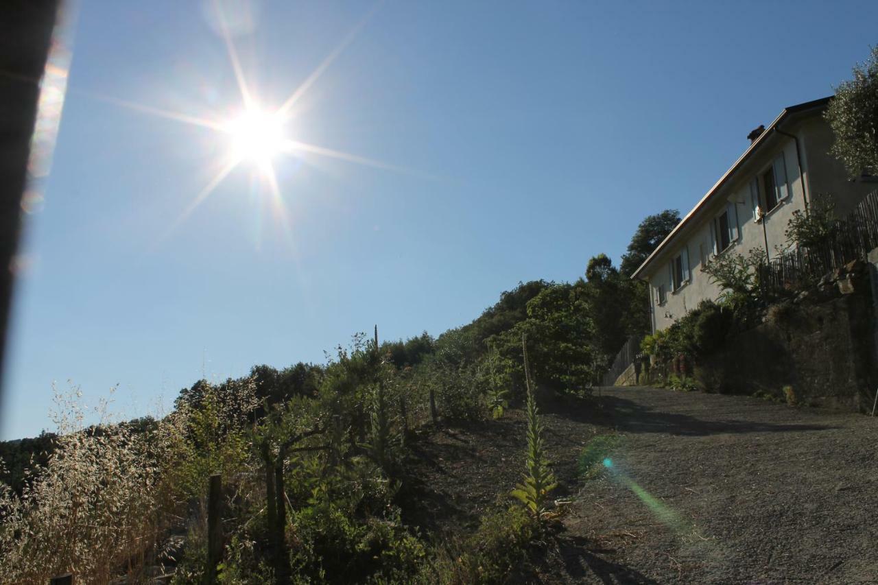 Collina Di Sopra Villa Tresana Exterior photo